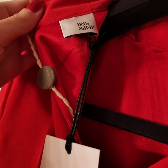 BNWT Iris and Ink 100% silk dress - Picture 10 of 11